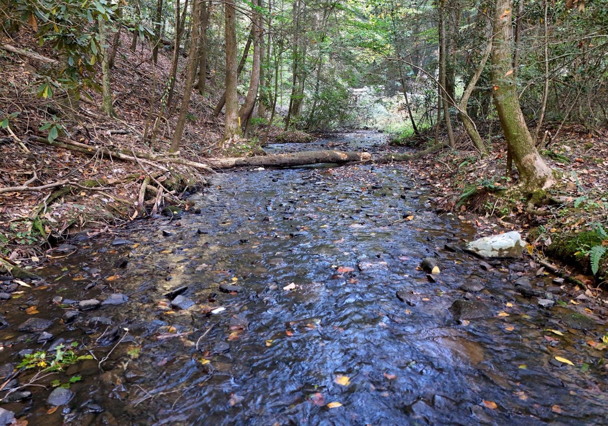 Вилла 706 On The Creek Вудсток Экстерьер фото